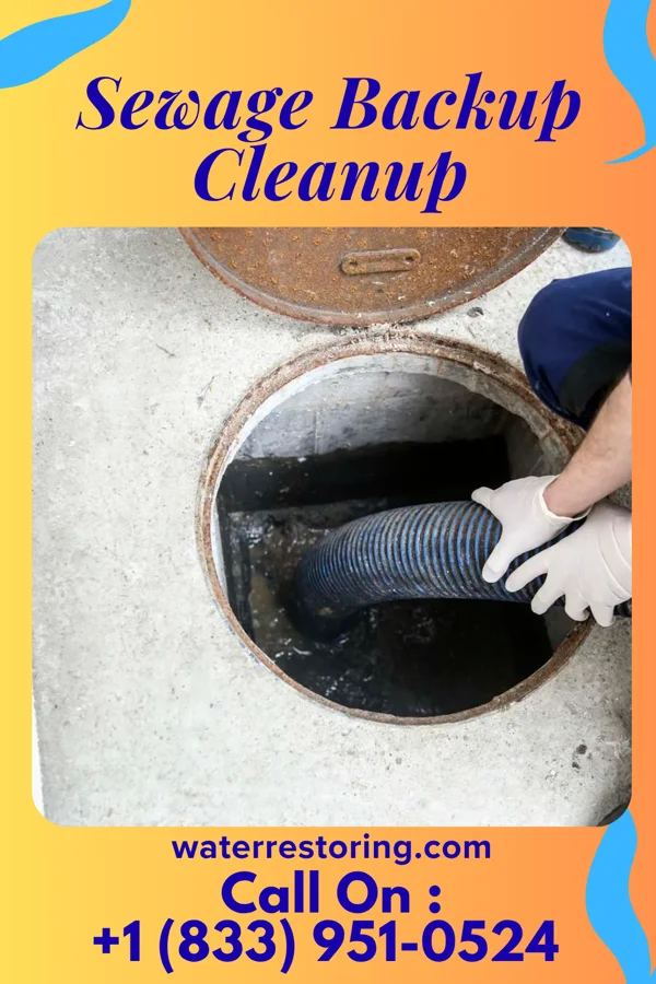 Sewage Backup Cleanup in Grand Rapids, MN